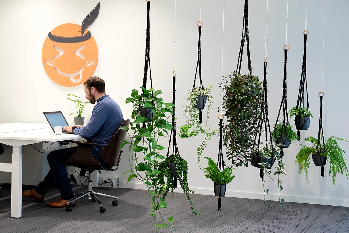 Software op maat. Risicovol?